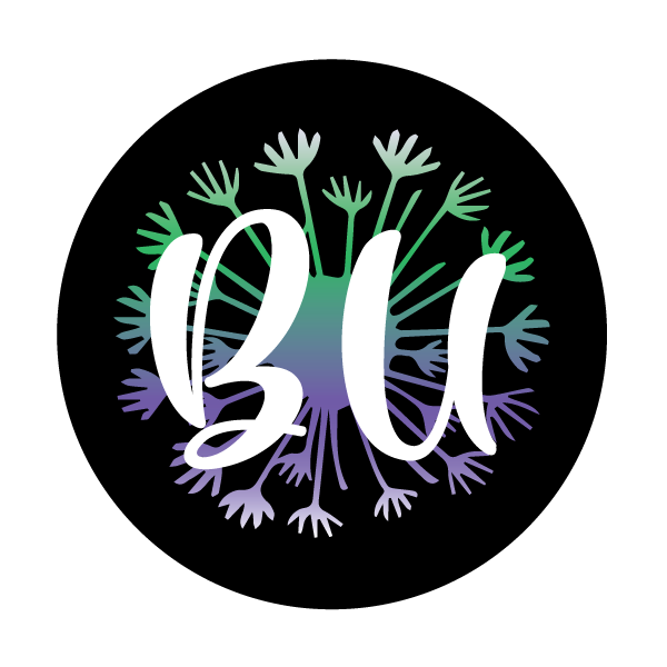 BU Life Skills Institute